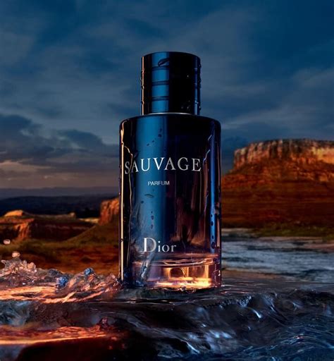 dior hologra|dior cologne sauvage.